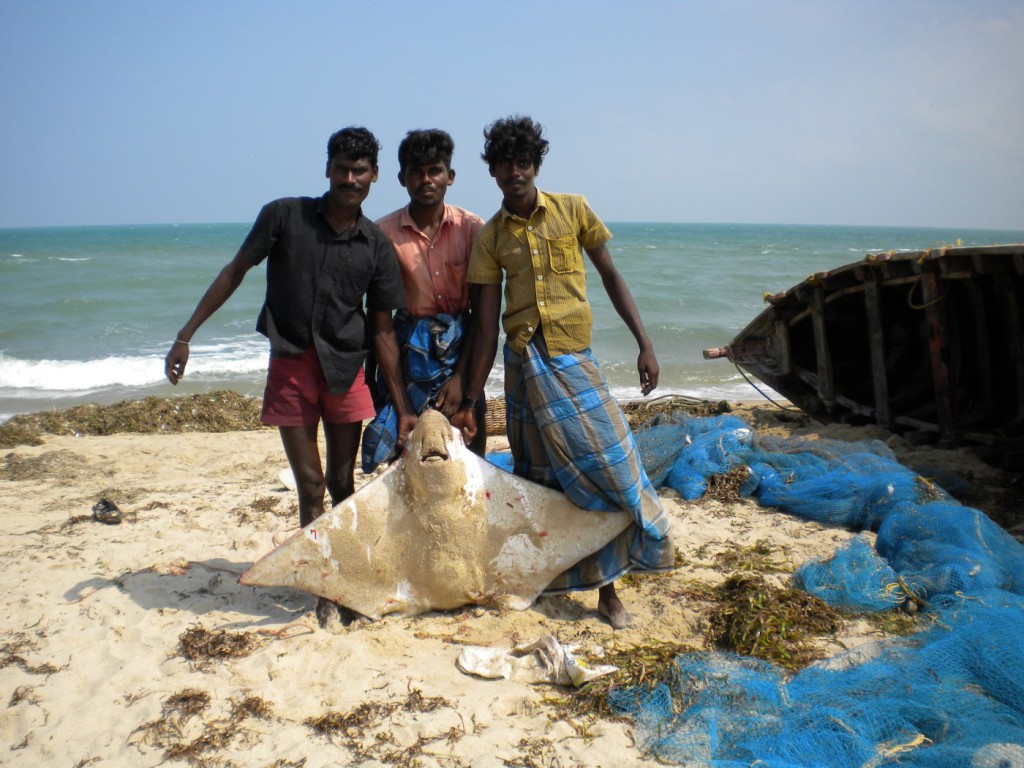 Rameswaran, India